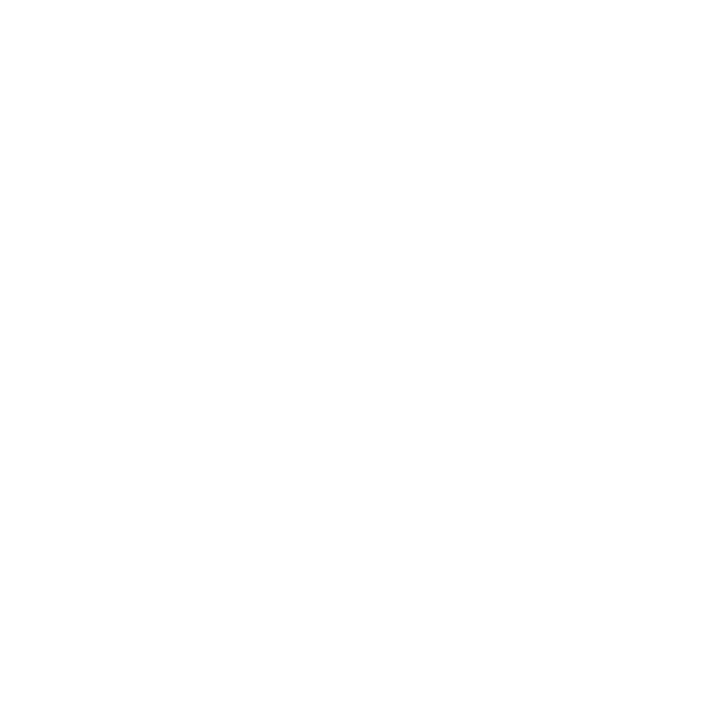 LEI-Logo-Branca