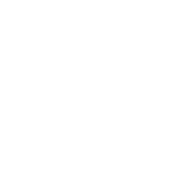 LEI-Logo-Branca